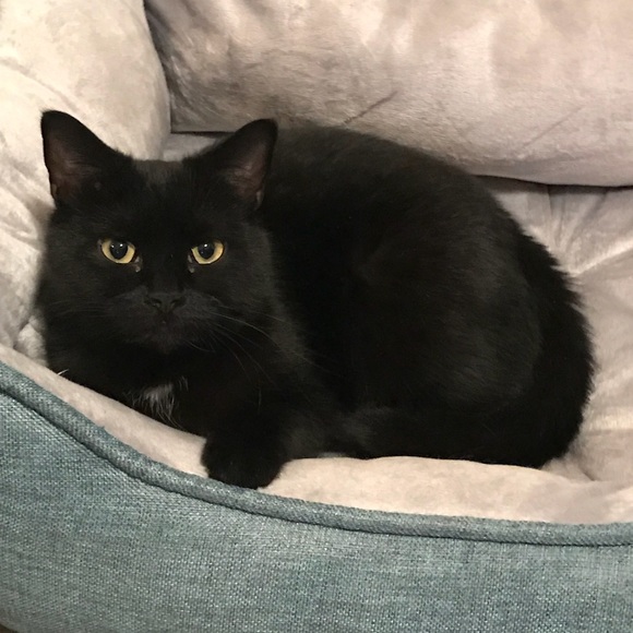 Meet your Posher, Heather - Picture 4 of 4